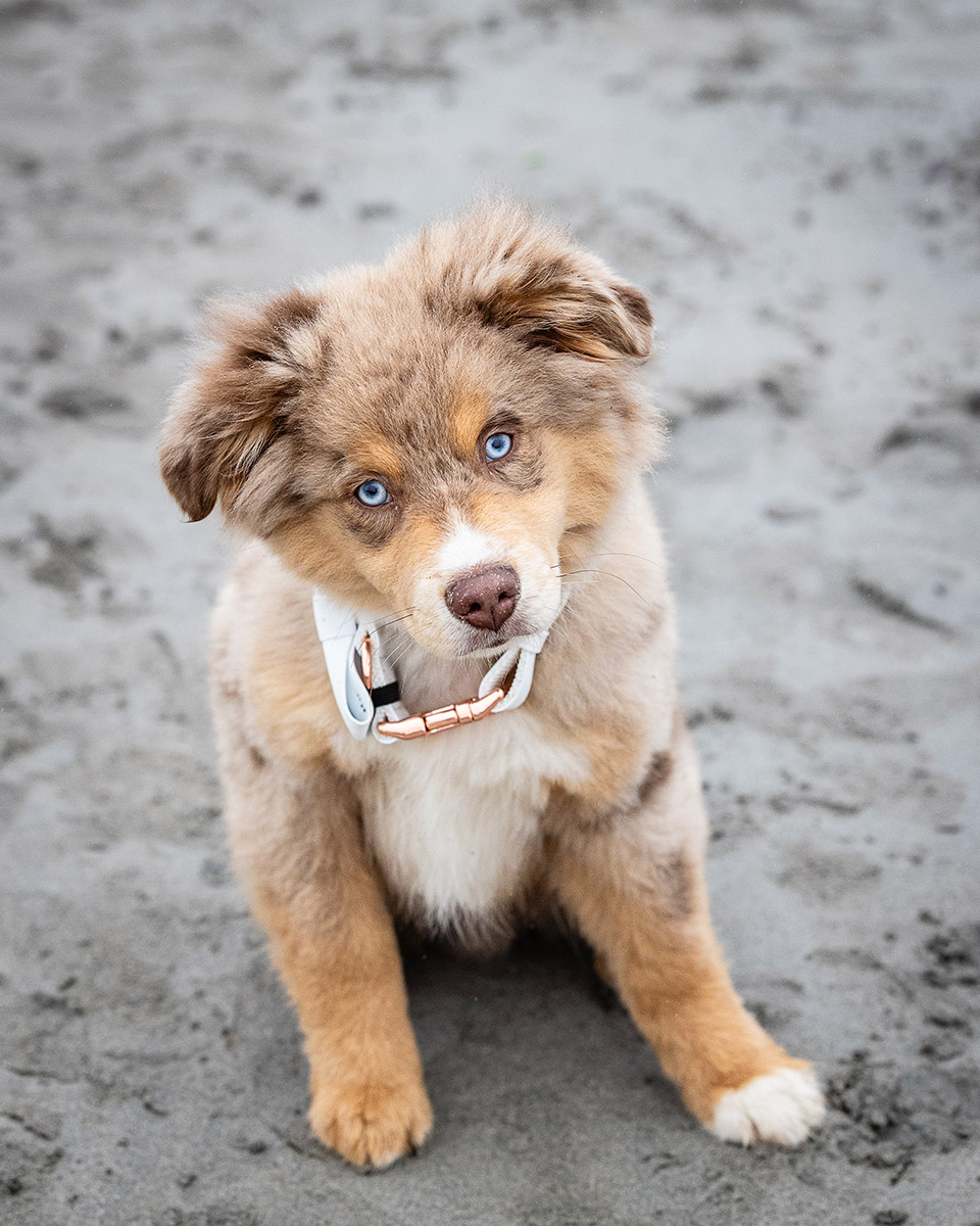 Connemara Coast Hotel Wedding