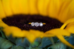 Macro ring shot
