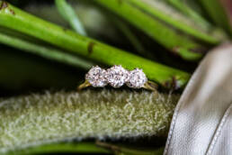 Macro ring shot