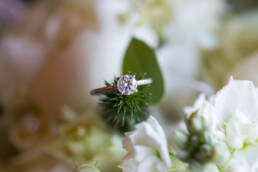 Macro ring shot