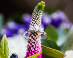 Macro ring shot
