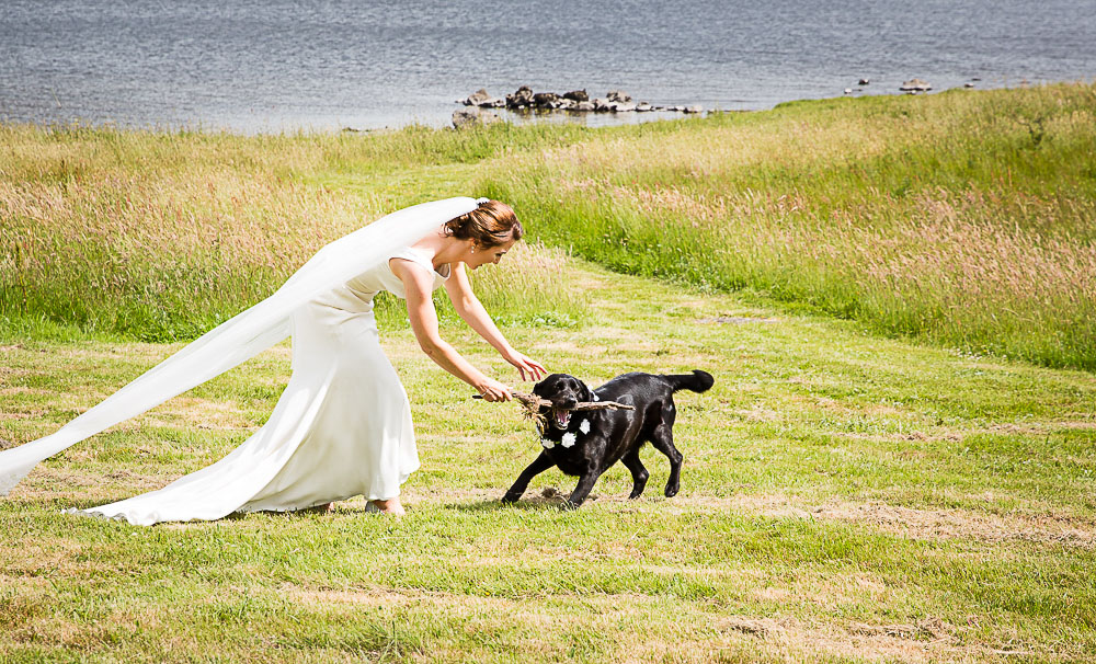 A wedding image from The Castlecourt Hotel Westport