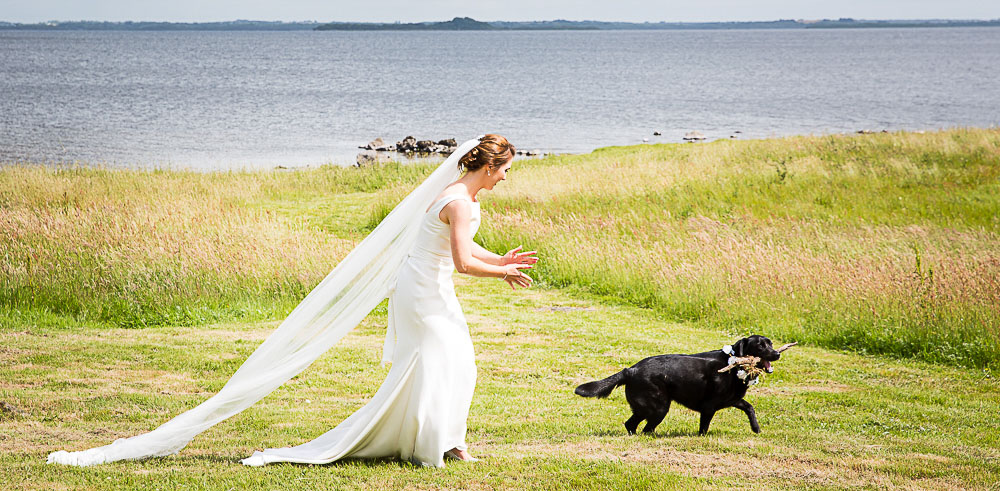 A wedding image from The Castlecourt Hotel Westport