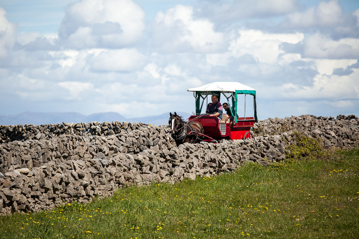 A wedding image from Inishmore Aran Island Hotel